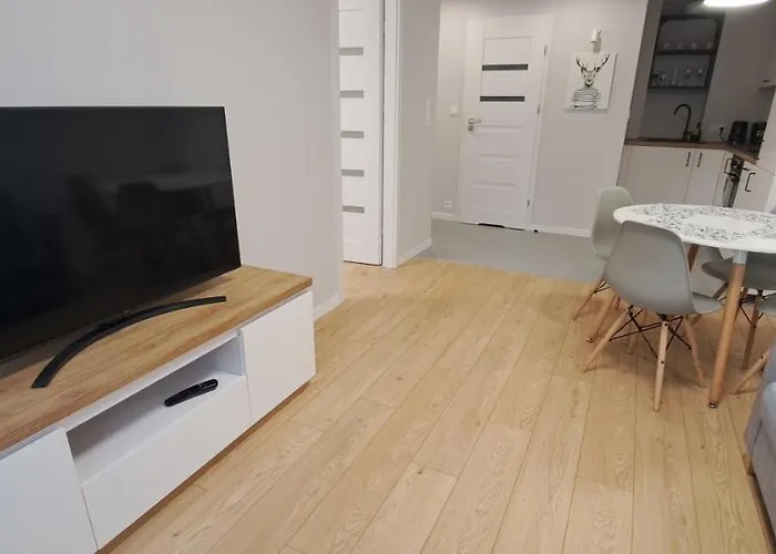 Apartment No 12